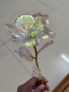 Iridescent Rose Decor
