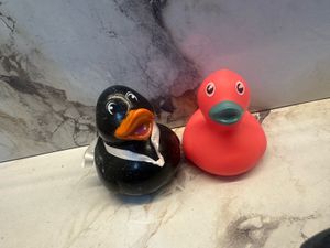 Cute Rubber Duckies
