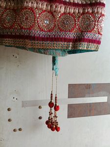 Lehnga Choli Multicolour