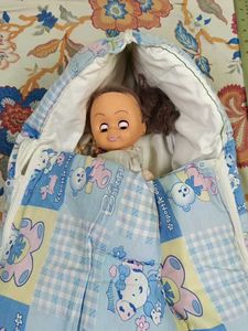 Baby Sleeping cum carry Bag  (0-5 months)