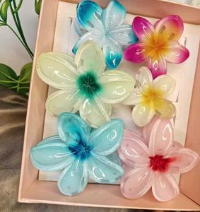 Beautiful Clutches Combo Pack