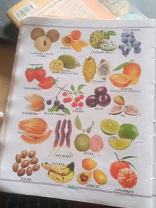 500 words With Pictures