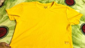 New Tshirt For Women