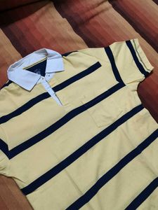 Turtle Brand Men Yellow Striped Casual Polo Tshirt