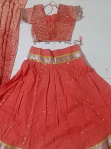Customised Chaniya Choli