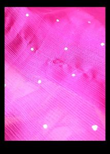 Pink Saree2