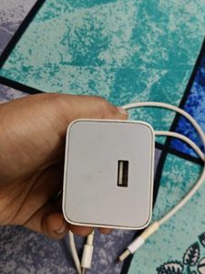 Charger &amp; Cable 27.5W