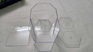 Betta Fish Tank With Double Compartment