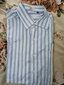 Striped Shirt