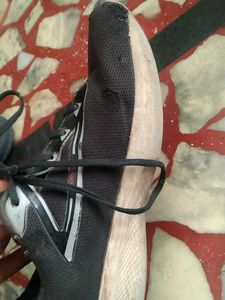 campus sports shoes