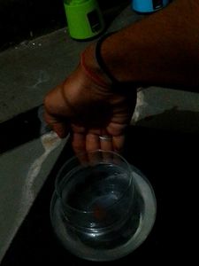 Mini Glass Jar For Small Fish, And Decoration