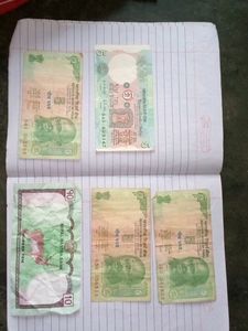 Vintage Currency Collection