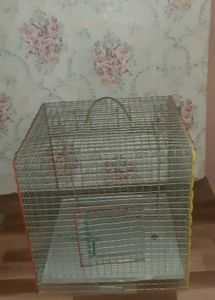 New Bird Cage