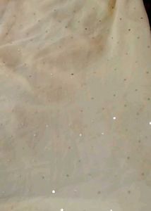 Ethnic Party Wear Saree