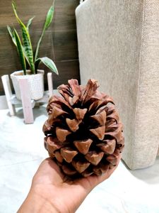 2 Piece Pine Cone Decorative