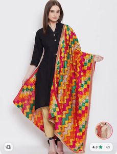 Colorful Embroidered Dupatta ( फुलकारी)