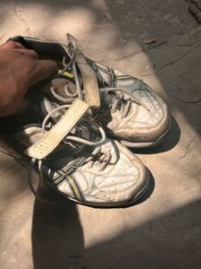 Asics Gel Cricket Spike Shoes - Size 11
