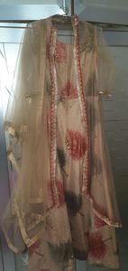 Light Brown Women Party Wear Gown/Dress