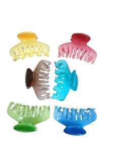 Colorful Claw Clip Set