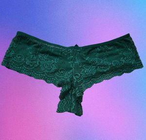 Brief