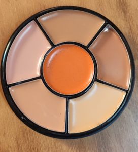 INSIGHT Cosmetics Natural Pro Concealer Palette (Concealer) Face Concealer