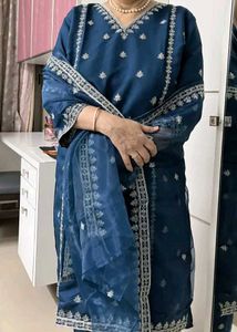 New Organza Kurta Set