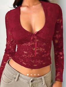 Sheer Lace Long Sleeve Top