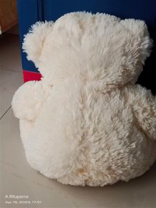 Love Teddy Bear