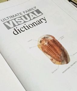 Ultimate Family Visual dictionary (English)