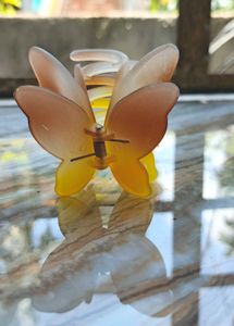 Beautiful Butterfly Clip  ! 🦋