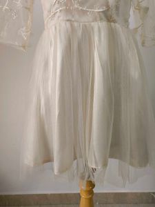 Net Dress