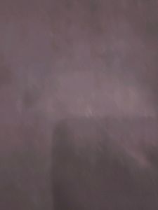 Maroon Coloured Levis T Shirt