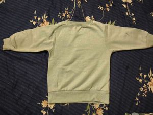 Dinosaur Print Sweatshirt