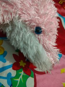 Cute Dolphin Soft Toy