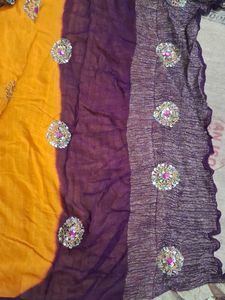 Elegant Embellished Saree