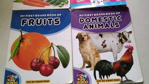 Concept Books For Children