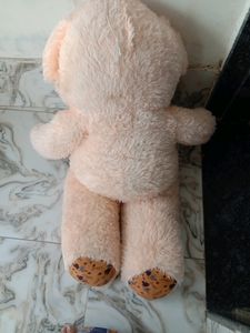 Cash 600 Teddy Bear Special For Valentine