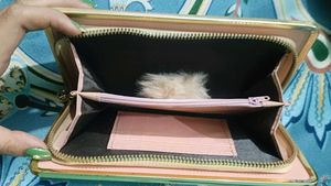 Golden Colour New Clutch