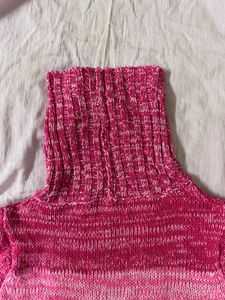 Turtle Neck Knit Dress