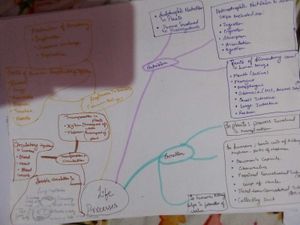 EduCart Class 10 Science Prashant Kirad Combo