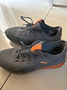Puma Man Shoes