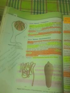 NCERT