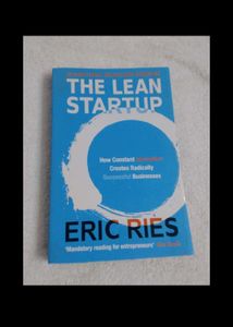 The $100 Startup Book And Lean Start