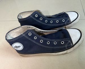 Roadster Canvas Sneakers