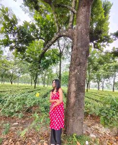 Red Printed Dress