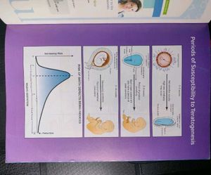 Langman&#39;s Medical Embryology