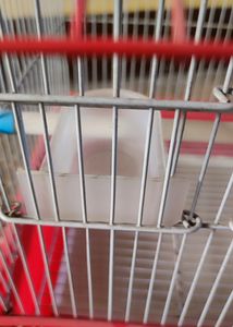 Premium Bird Cage