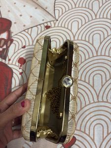 Elegant Women Clutch