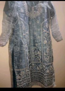 New Organza Kurta Set