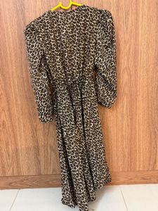 Leopard Print Mini Dress